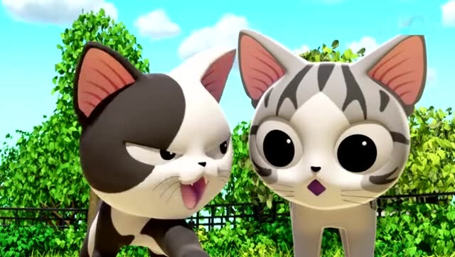 《甜甜私房猫》可奇和小奇,谁最厉害呢