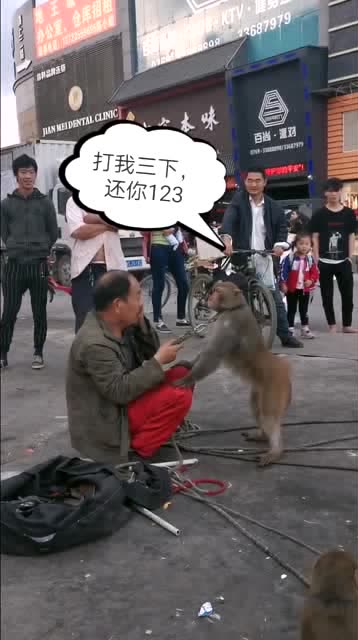 这大爷打猴子三下,猴子还大爷三下,这是什么鬼操作!