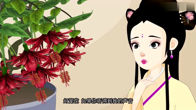 中华民间小故事:青宛的灯笼花变成了美丽的灯笼裙!