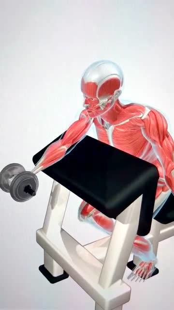 牧师凳单臂哑铃弯举,把手臂练大才叫真男人,注意念动一致注意力集中!