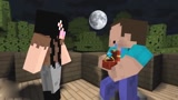 Minecraft动画：菜鸟的爱情生活，爱与心碎！