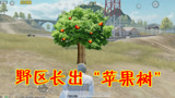 和平精英：野区树上长出了“苹果”？玩家走近发现竟是一辆载具！