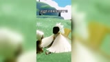 光遇，这不是我想要的无翼！