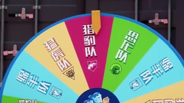 摇啊笑啊桥:猎豹队小姐姐转圈圈,和别人撞一起了,太可爱