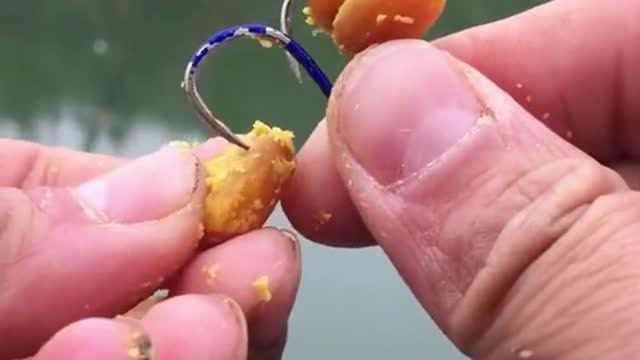 野钓双钩挂老坛玉米,一看就是有经验的老手,一般新手都不会操作!