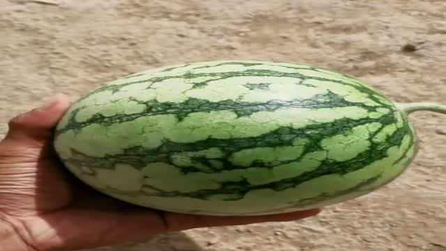 开个黄金小西瓜,没想到用指甲一碰就炸了,网友:你掐到大动脉了