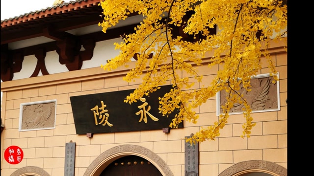 快乐大妈---成都永陵公园,艾哥拍摄.