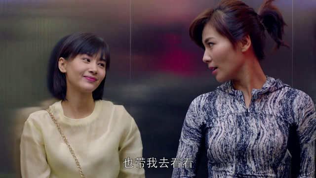 欢乐颂:曲筱绡照顾小区的流浪猫,还骗安迪买猫粮,太搞笑了