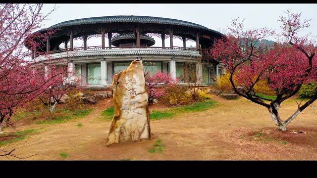 淮南梅园 配音《可可托海的牧羊人》