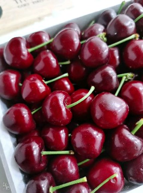 到货就售空的梅枣樱桃