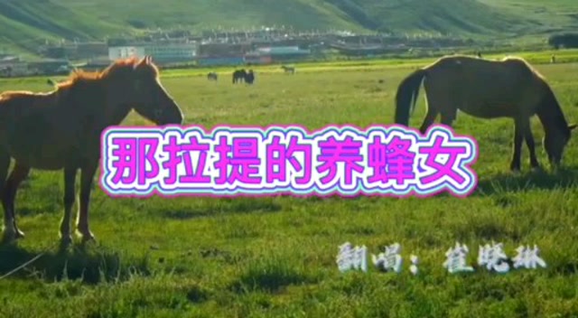 《那拉提的养蜂女》演唱崔晓琳