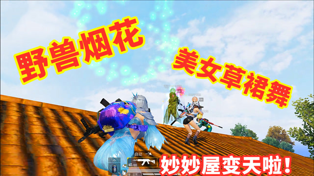 宅女喵小七:妙妙屋出新花样啦!野兽烟花 草裙舞,玩得太嗨啦!