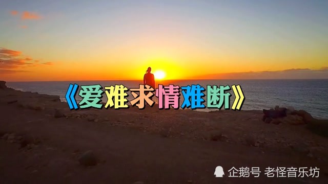 一首爱难求情难断刺痛了多少人的心