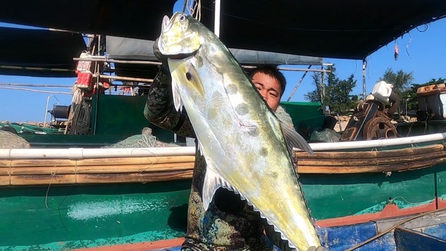 像人一样大的七点鲳有谁见过没,拿起来都很吃力