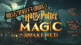 哈利波特魔法觉醒：一把年纪了还能收到霍格沃兹的入校通知书？