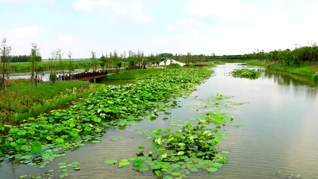 泗县石龙湖湿地公园醉游人