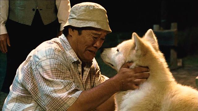 一条知恩图报的狗子,你养我一天,我守护你一生《星守之犬》