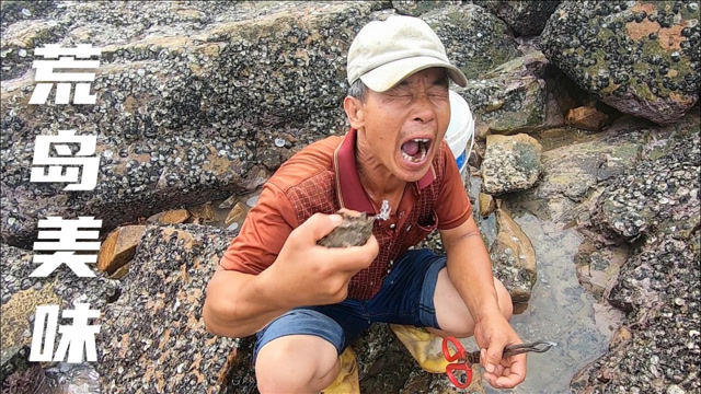 台风过后登荒岛赶海,海货聚集好多成精大货,来叔忍不住想要生吃