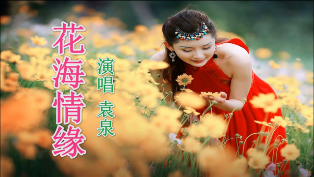 袁泉一首dj情歌《花海情缘》舞曲动感醉人,温婉好听
