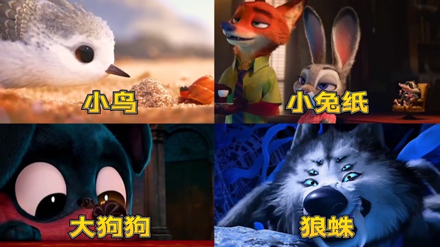 萌化世界的小可爱,大狗狗呆萌可爱,原来狼蛛真的是狼