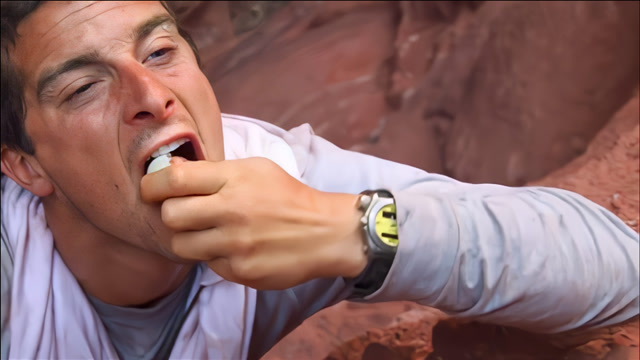 荒野求生:贝爷沙漠吃大餐,舌尖上的撒哈拉