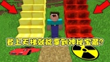 我的世界：登上天梯就能拿到神秘巨奖？这波阿呆直接暴富！