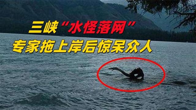 河中巨怪中国图片