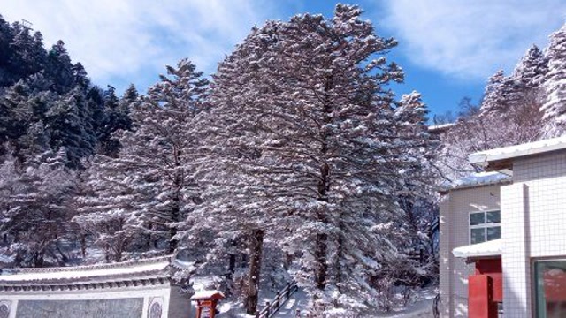 太白山的雪景,帶您走進浪漫的童話世界