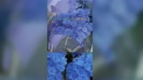 王者荣耀：我悟了，要打带标记的人