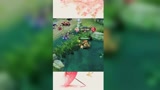王者荣耀：原来是同道中人，失敬失敬