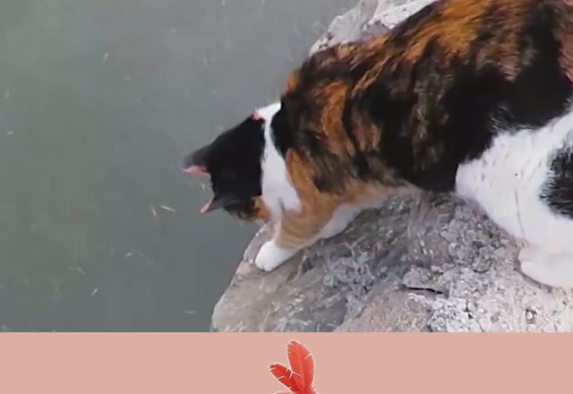 把孩子谗成啥,光着脚踩着冰也要吃鱼#家有萌宠##求一个神评加持关注