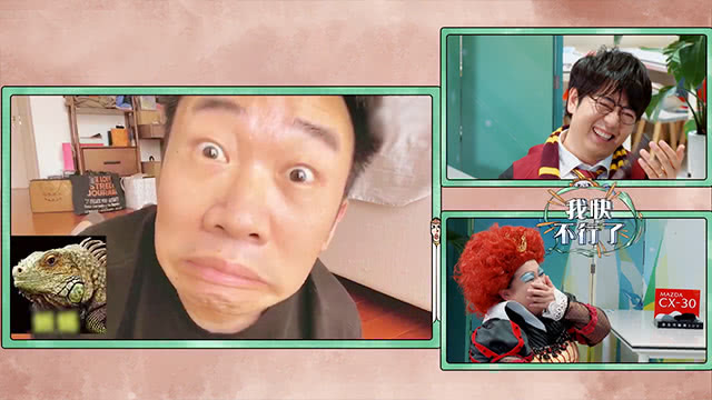 杨迪模仿蜥蜴?贾玲郎朗笑崩了哈哈哈