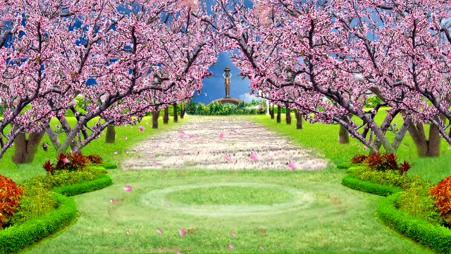 金山老牛抠像广场舞桃花背景