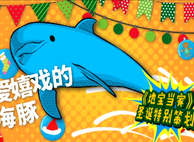 地宝当家:海洋公园宣传片