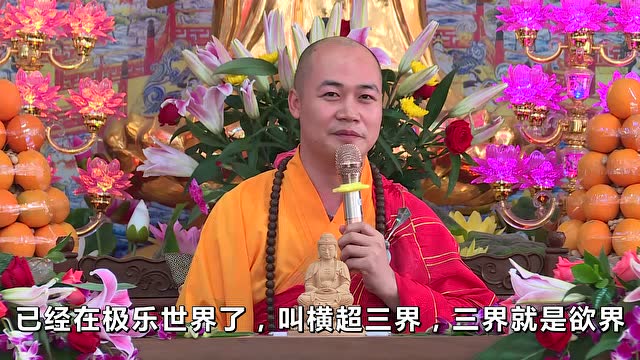 圣旭法师「正在说法」念佛积累资粮(331)