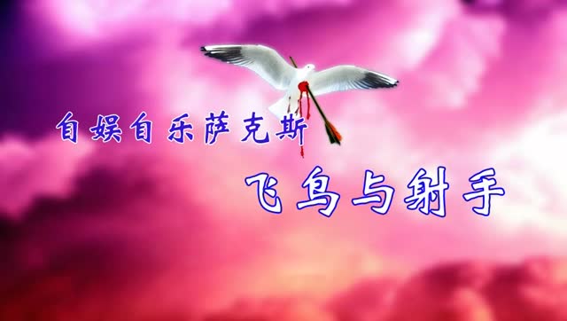 自娱自乐萨克斯《飞鸟与射手》