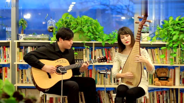 犹抱琵琶半遮面(琵琶-杨一格)