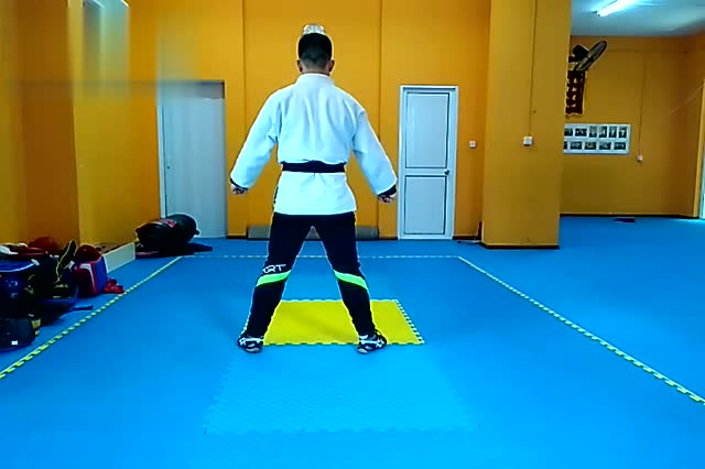 太极六章背向演示