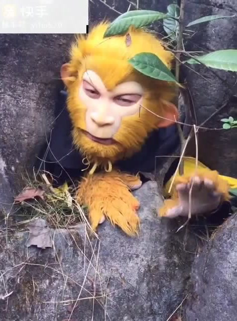 猴哥再现五指山,竟然就为了它!