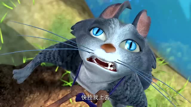 肥波和蹦蹦不小心掉水里,可把熊二给急坏了