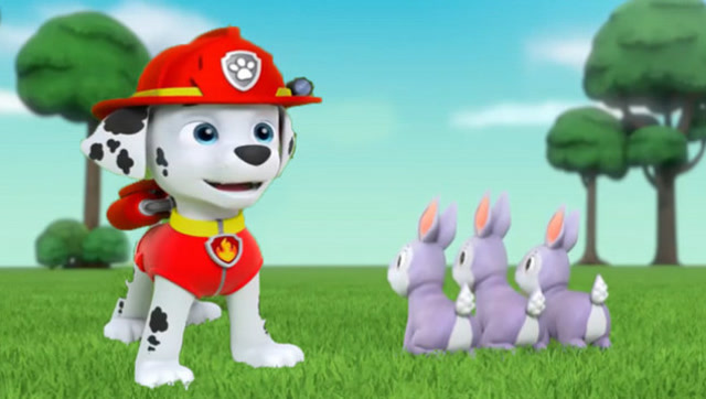 狗狗巡逻队毛毛训练小兔子学倒立汪汪队立大功