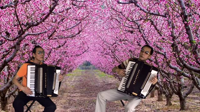 王迟新作手风琴二重奏《红莓花儿开》