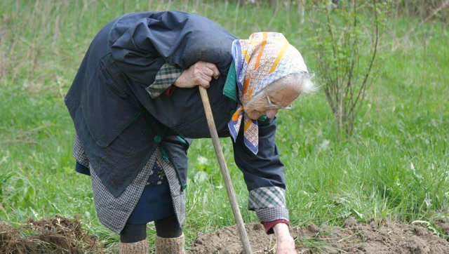 胡说!谁说老人一定会驼背,平时这么做,老了也挺直腰板
