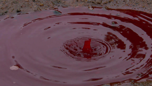 印度连续降下两个月血雨 专家:从阿拉伯刮来的红土!