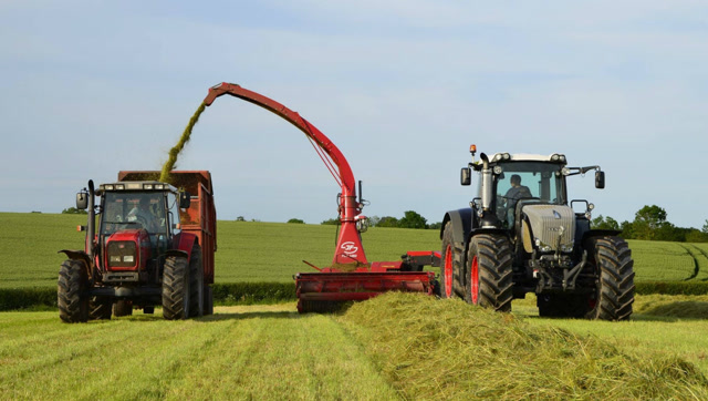 超大型青草收割机,干活效率太高,这才是农场该有的设备!
