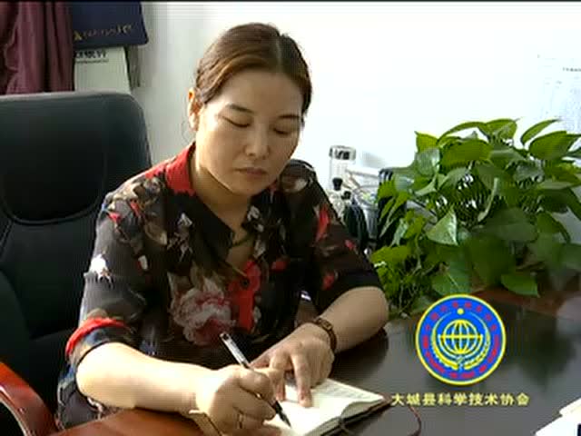 城视关注第60期