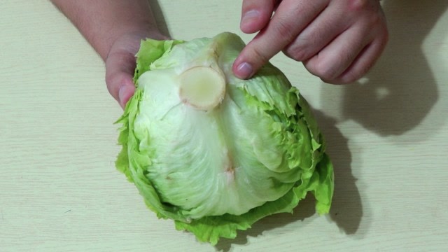 圆生菜去根清洗的妙招,简单方便又干净,赶快学一学
