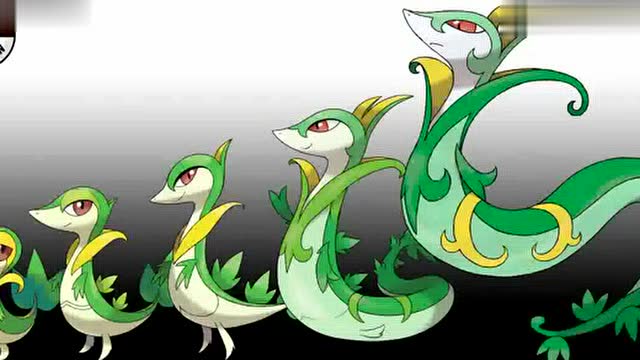 30只第五世代神奇宝贝进化图大集合!
