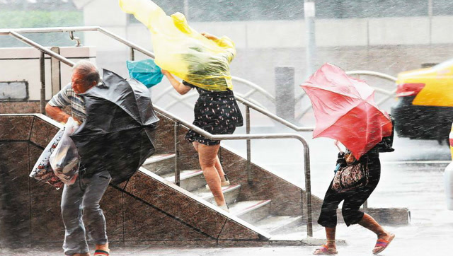 台风过后我们该注意什么台风过后的安全须知了解下