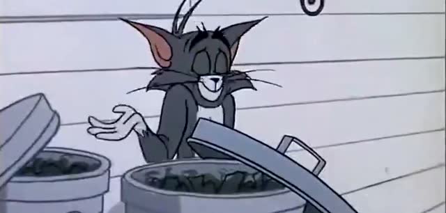 猫和老鼠:杰瑞偷骨头被发现,汤姆追到狗窝前,却躲进垃圾桶